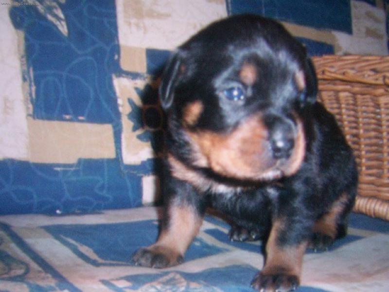 Foto: 21 dni stary :)