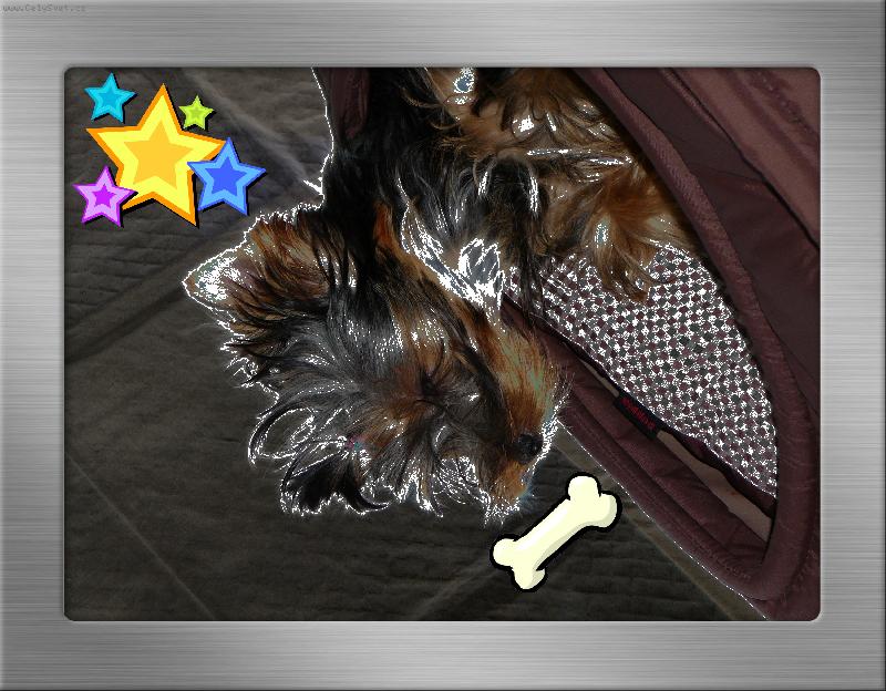 Foto: ��e sn� :)