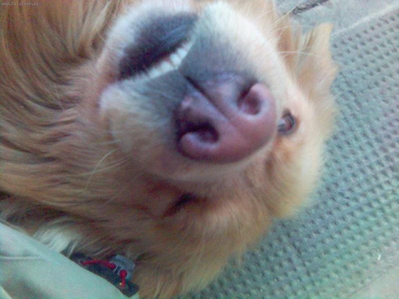 Foto: U� v�te jak r�d se fot�m?-U� v�te jak se r�d fot�m??...