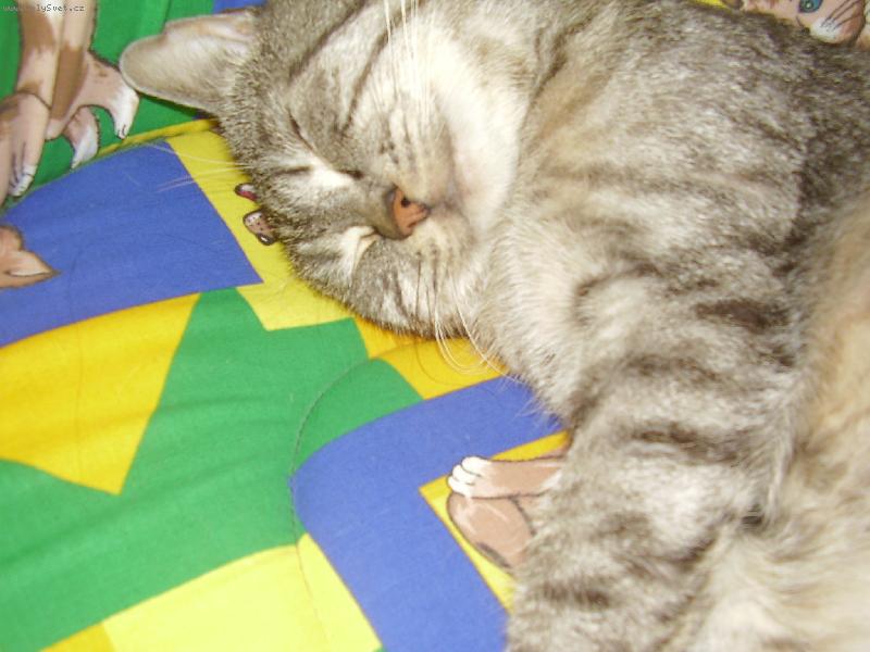 Foto: spink�m!!zzz..z.z.z..zzzzzzzzzzzz-Neru�it!!:)