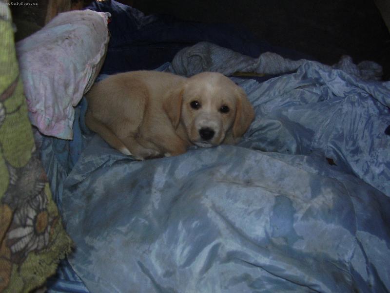 Foto: J� neusnu,kdy� bude� tak dupat-Nekoukej!!