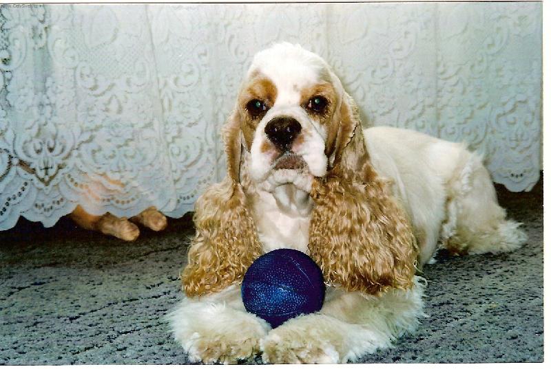 Foto: V�m.�e mi to sekne......-Sam