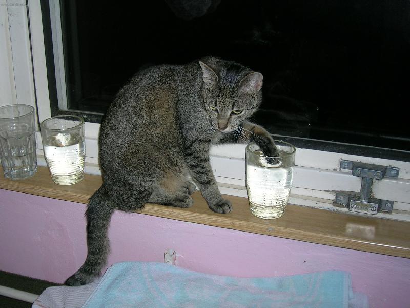 Foto: je to voda dobra?