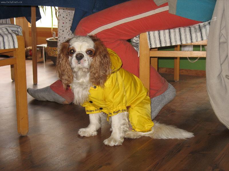 Foto: do de�t�-p��prava na proch�zku