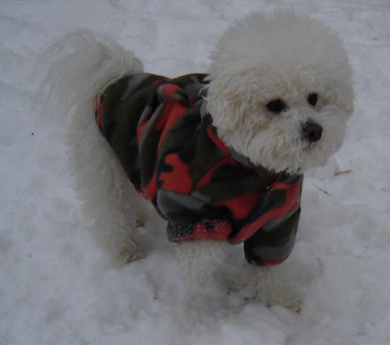 Foto: Arkinka-�tastn� Nov� rok 2006