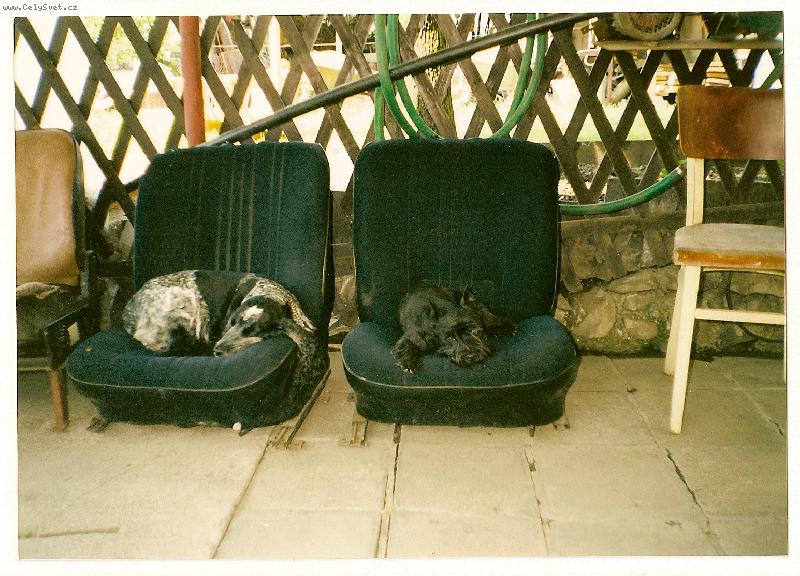 Foto: mu�ket�r z Beskyd-odpo�inek na velikono�n� t��e na Pustevny