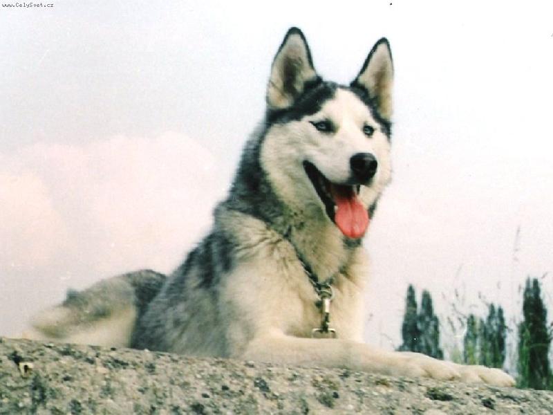 Foto: SEY-na sk�le