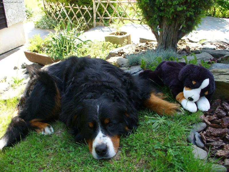 Foto: Ply��ci-H�dejte kter� z n�s sp� na gau�i?