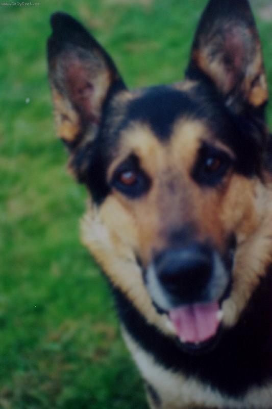 Foto: Rex-baf.......