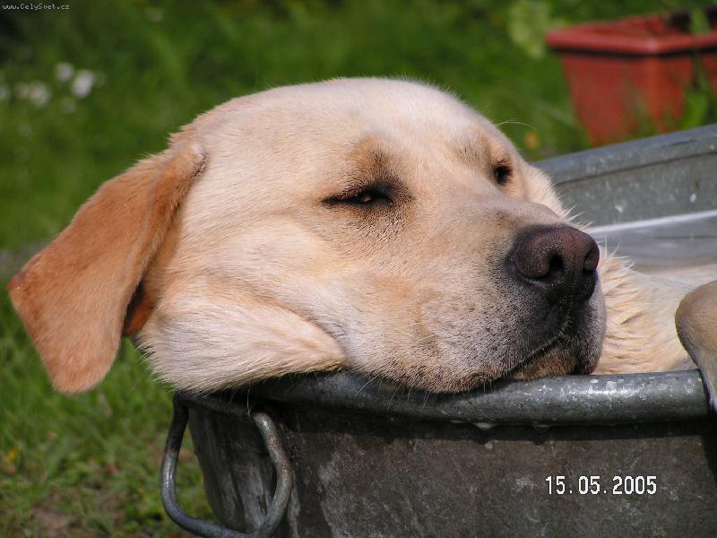 Foto: Benny-Pohodi�ka