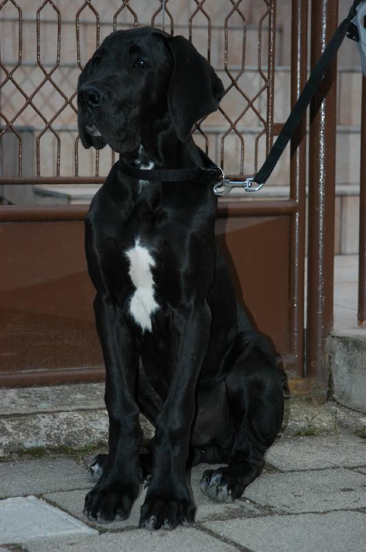 Foto: V�stavn� posed :o)-�ty�m�s��n� drobe�ek