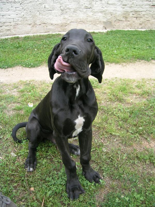 Foto: Bylo to dobr�...-...ale bylo toho m�lo