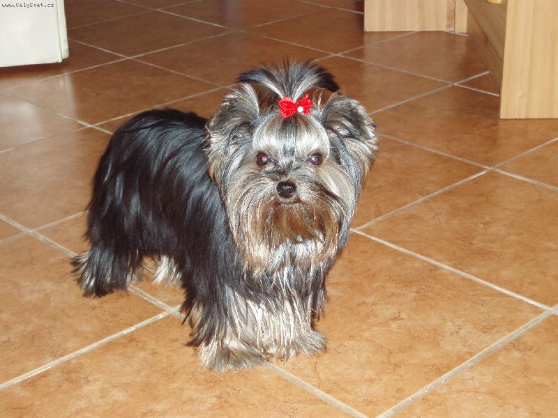 Foto: Baru�ka-doma