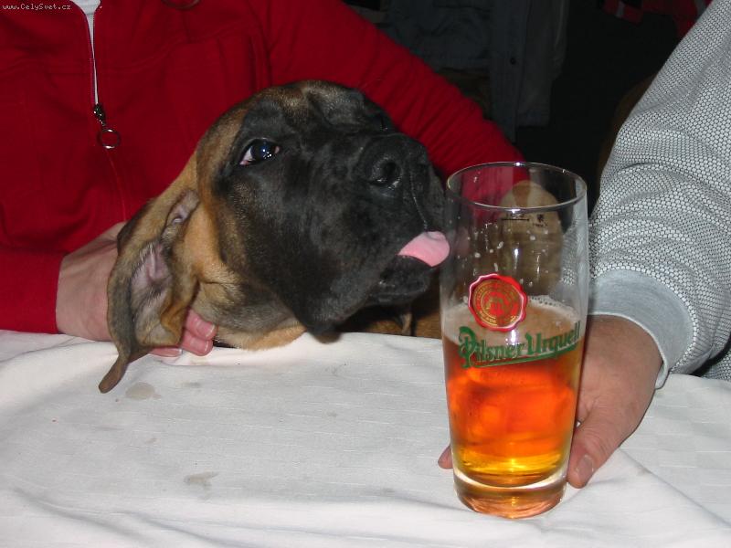 Foto: APRILIA-TO PIVO JE MOJE!!!!!!!!!!