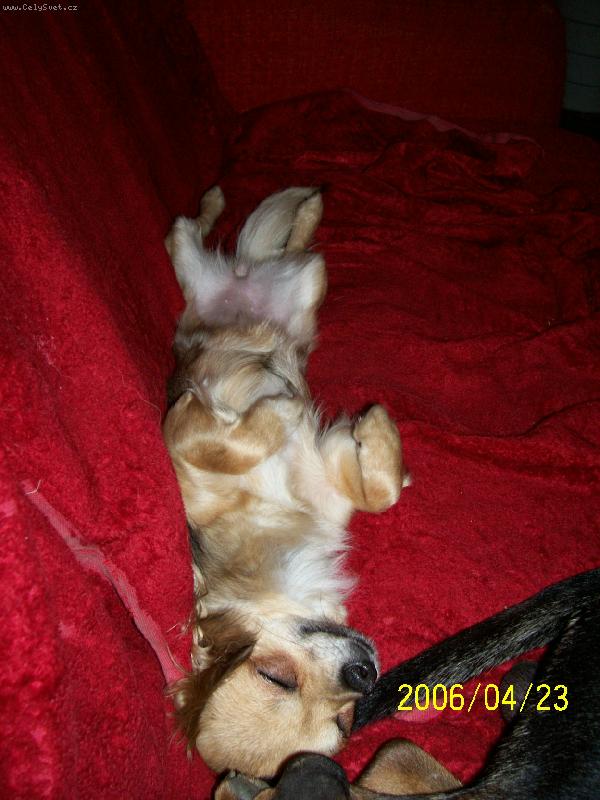 Foto: �ivava na tvrdo!-Betty sp�