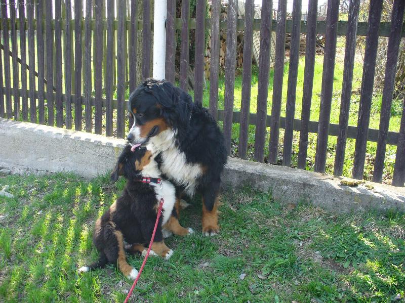 Foto: Bad a ply��k 2