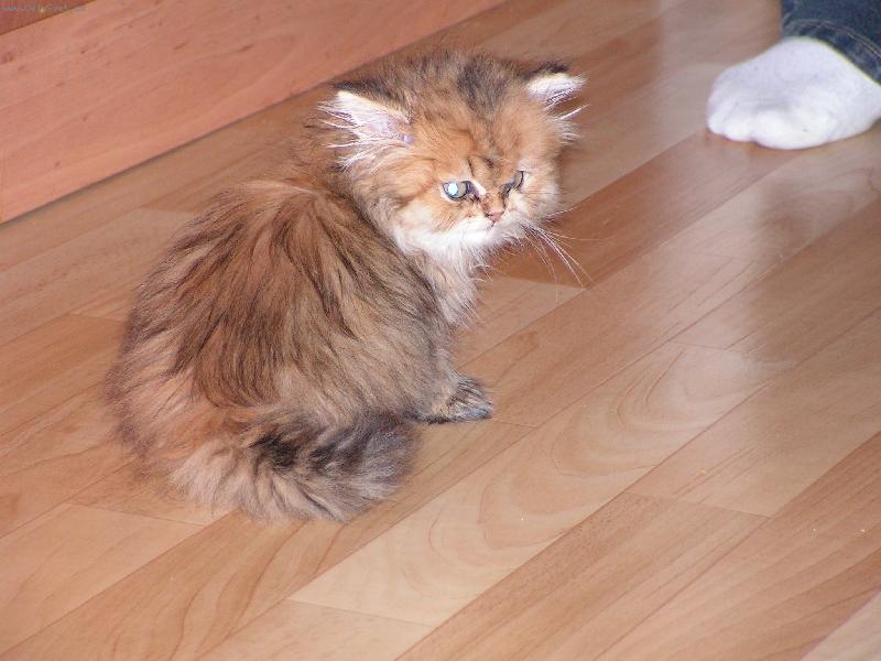 Foto: Mus�m to tu prozkoumat,te� m� dovezli!-Ko��tko Nanynka