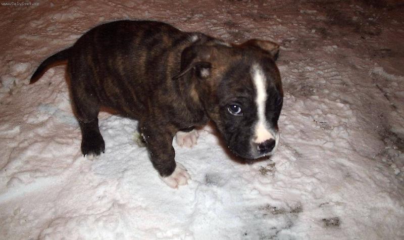 Foto: Boj�m boj�m...-Prvn� v�let do sn�hu