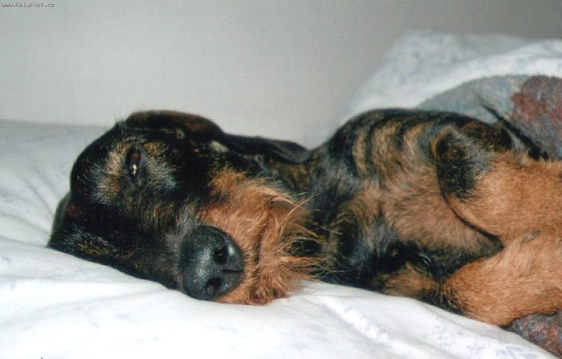 Foto: Neru�te, pros�m..