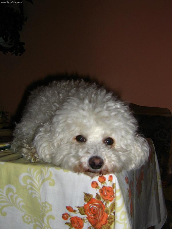 Foto: L�b�m se V�m?