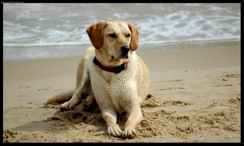 Foto: Where are u ???