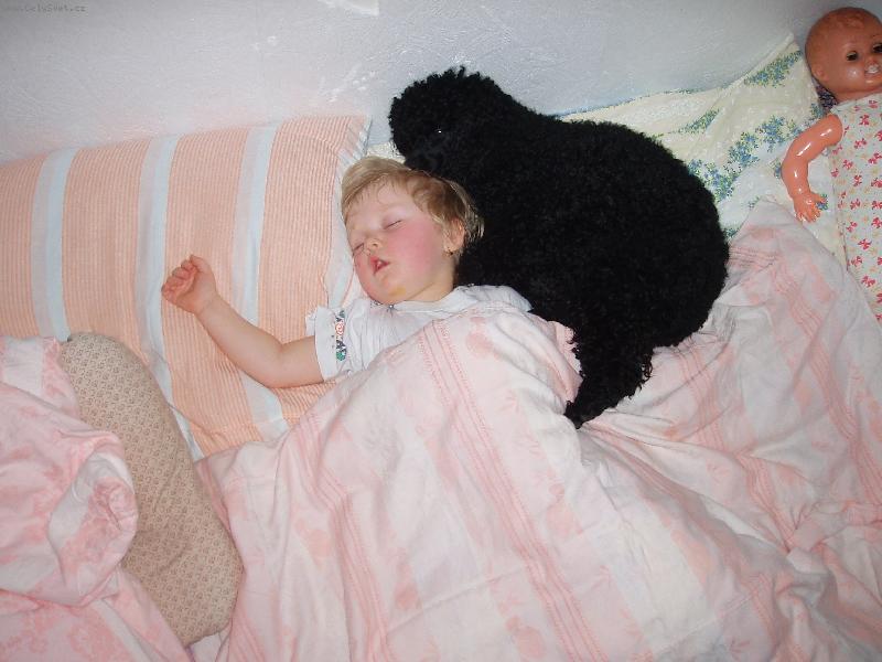 Foto: veget-To m�m nejrad�ji sp�nek s Nelinkou