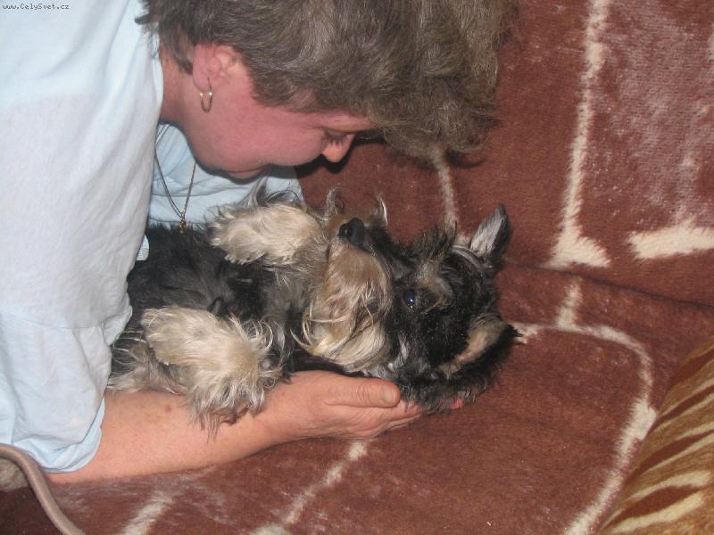 Foto: Benysek-mazliky s panickou