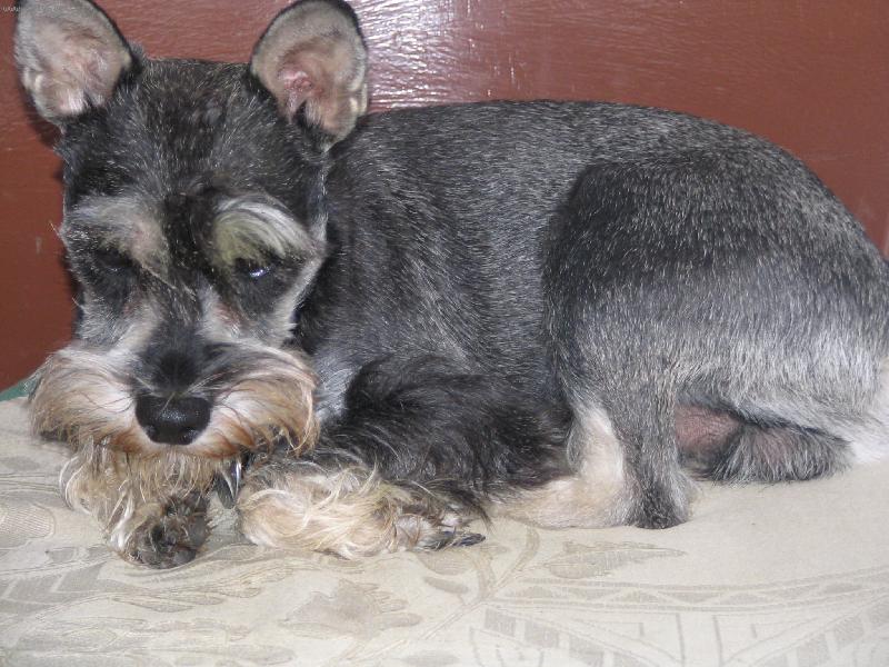 Foto: Benysek-preci nebudu lezet na zemi