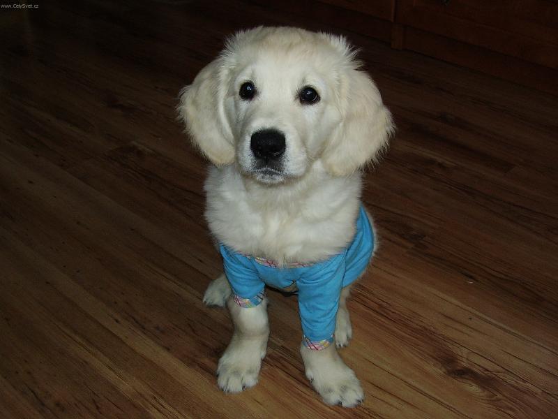 Foto: pripraven k foceni-pripraven k foceni