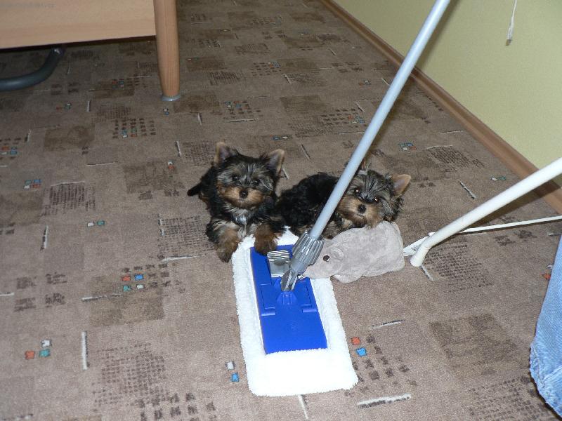 Foto: mal� ukl�ze�ky:)-haloooo pani�ko...jdeme ukl�zet:)