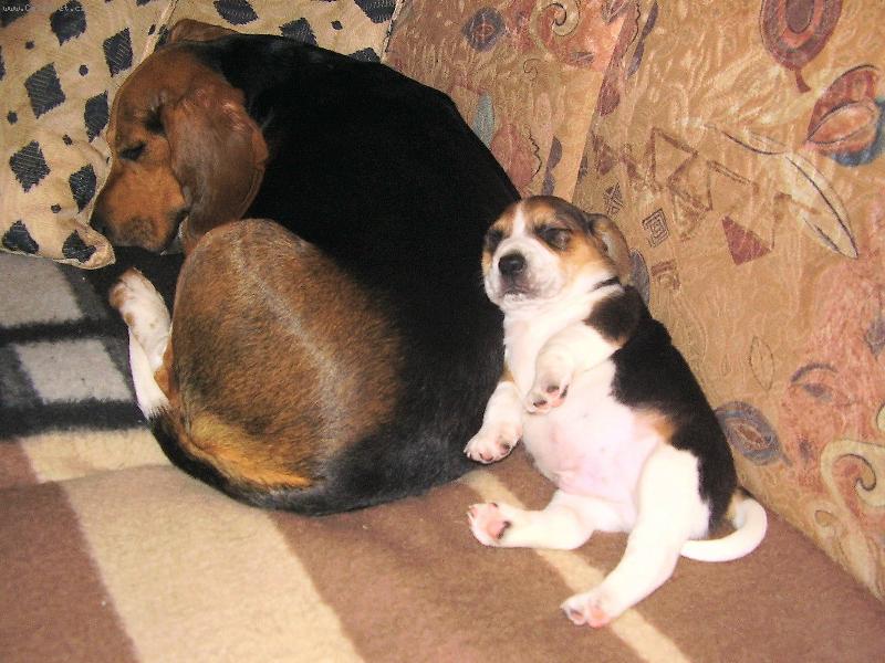 Foto: TO SME SE NADL�BLI-B�GL�CI