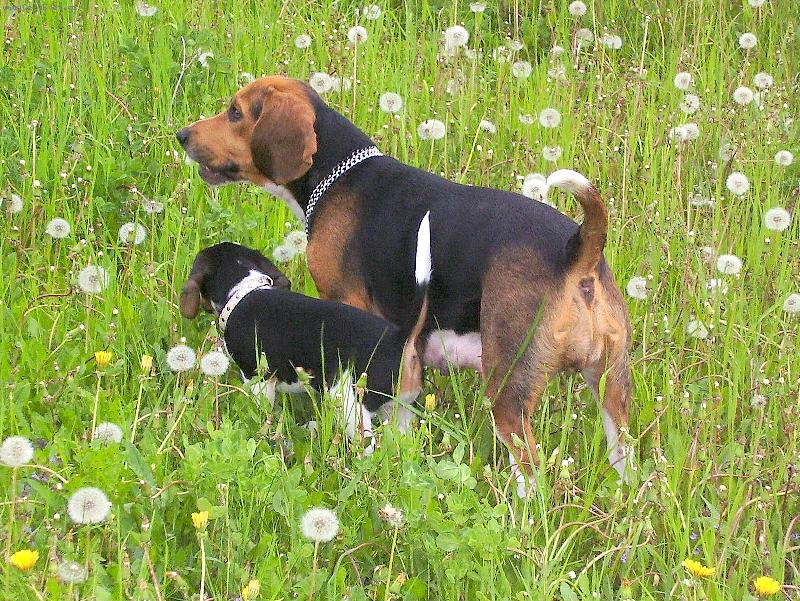 Foto: TAK KAM VYRAZ�ME?-M�MA S DCEROU