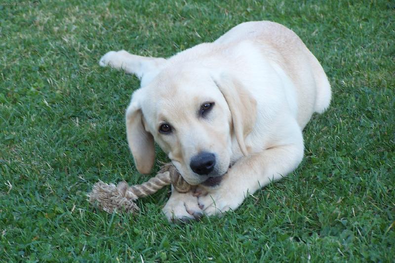 Foto: Anetka a obl�ben� hra�ka