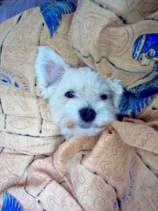 Foto: Zhasn�te a jdem sp�t ...