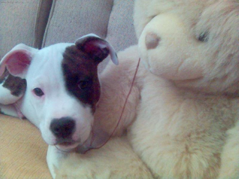 Foto: Nermin�tor-M��ov�..