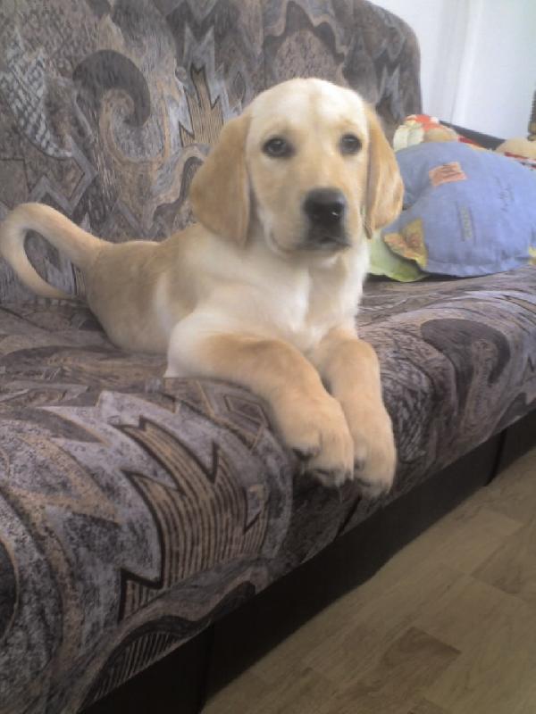 Foto: uz brzi musim gauc opustit...