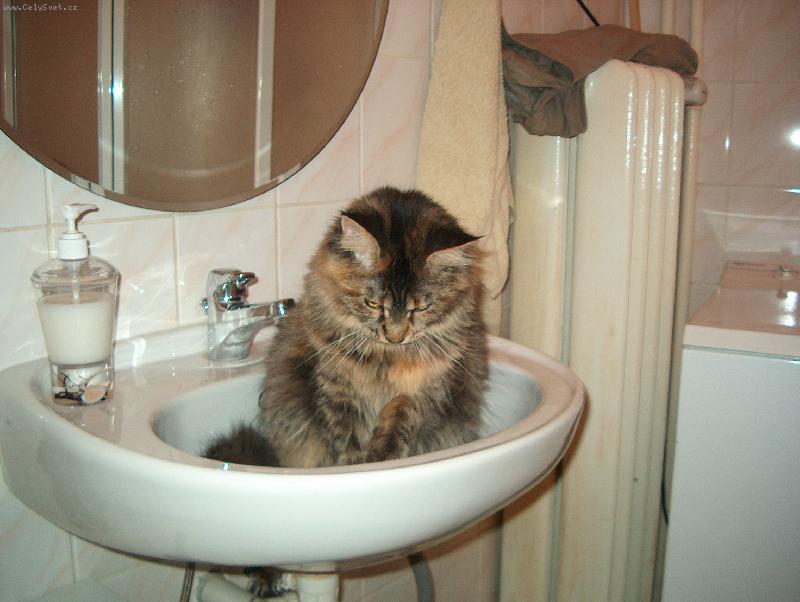 Foto: Kam se pod�la voda?