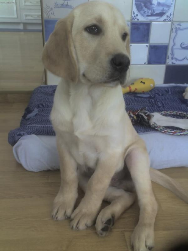 Foto: uz nechci ten fotak...