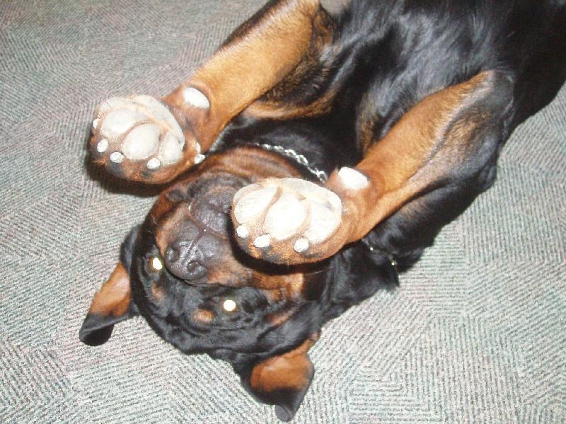 Foto: Paci, paci, paci�ky....