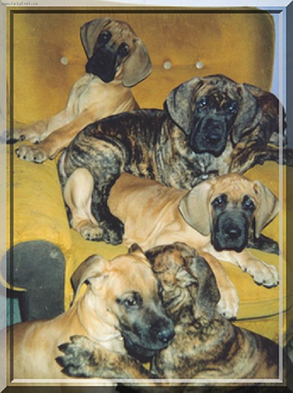 Foto: von Graslic-mal� k�eslo !!!