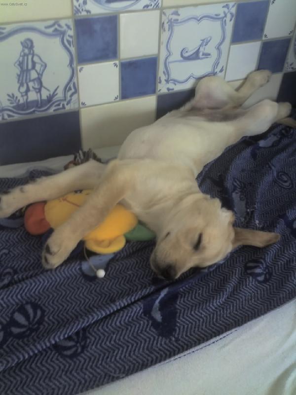 Foto: slunicko vam nedam...