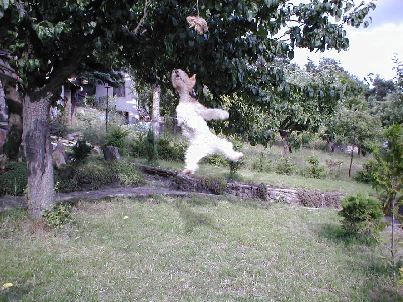 Foto: to je skok �e jo.