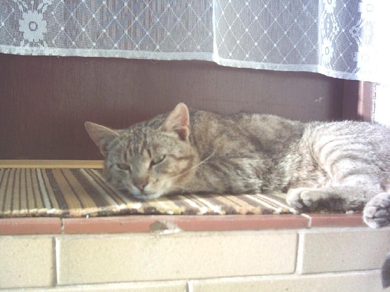 Foto: V�Clav-Leh�rna