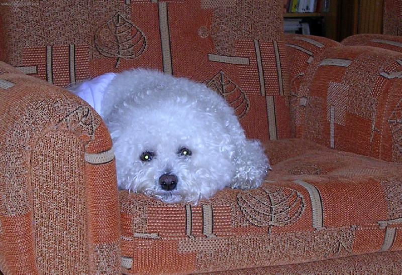 Foto: Ketynka-Je mi smutno...