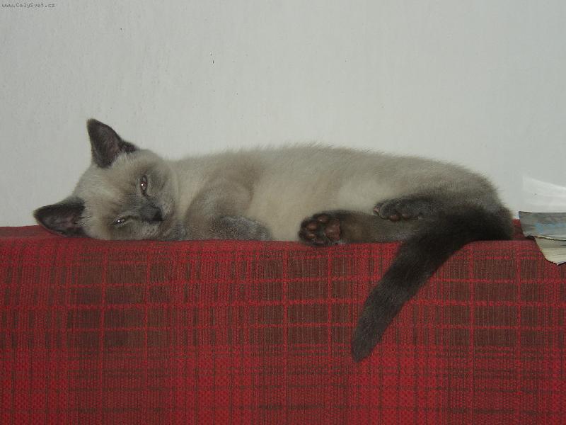 Foto: Milou�k� To N� Mike�ek-Vypad� mile