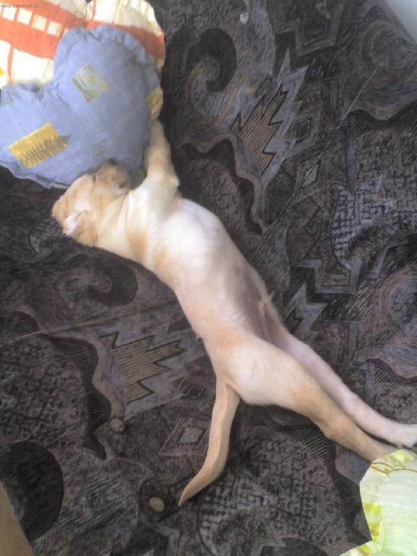 Foto: mam gauc jen pro sebe...ale ne nadlouho...