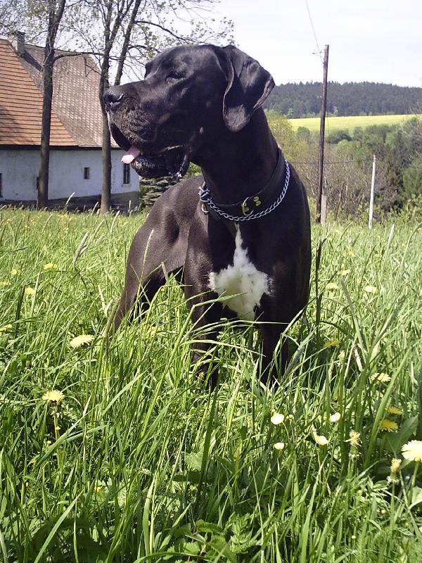 Foto: Moje Caramelka-Caramela