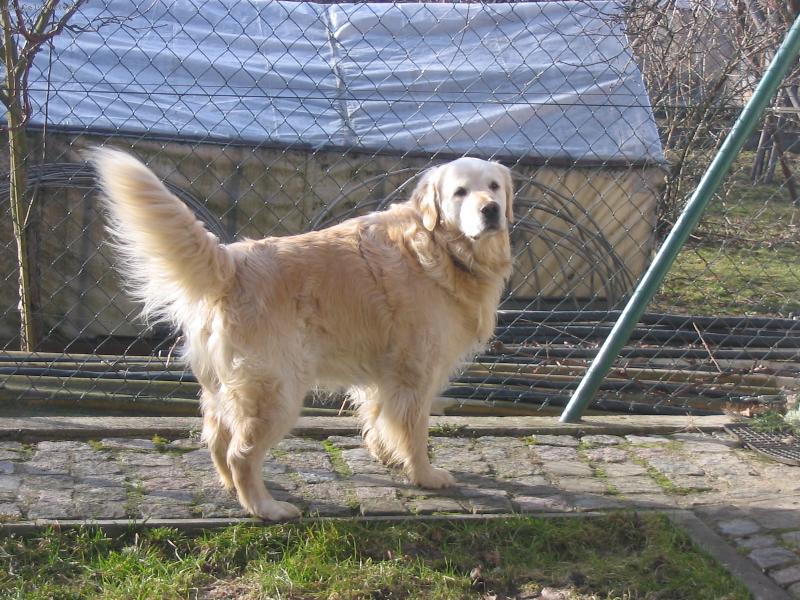 Foto: hUUUUUUU-kde be�elo to kure??