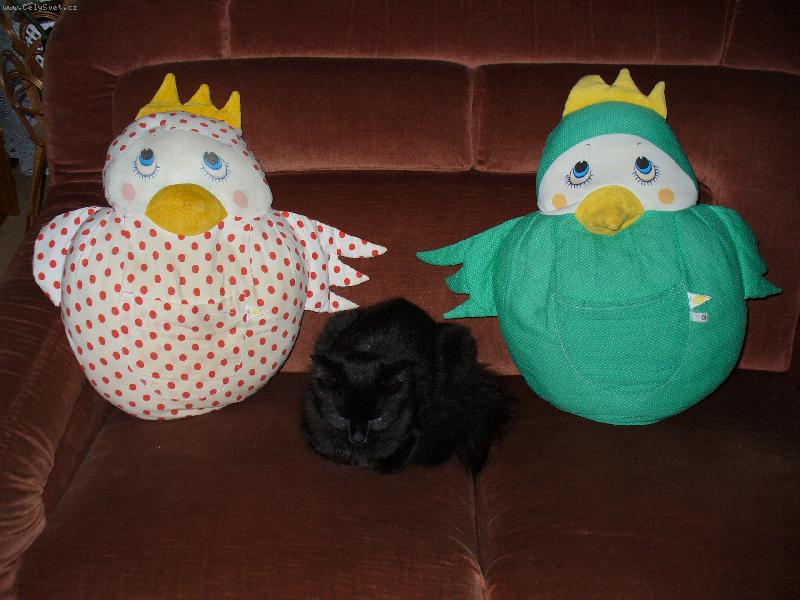 Foto: Mike�ek-No co, hl�d�m slepice!