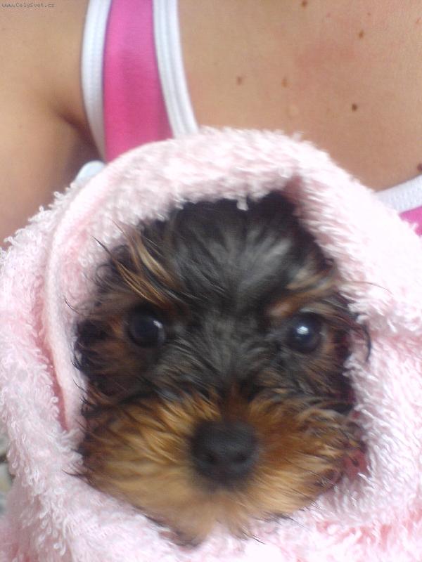 Foto: Bob��ek Spee��nek-To je n� tu����ek